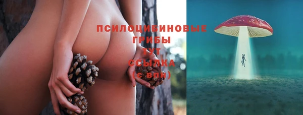 марихуана Абаза